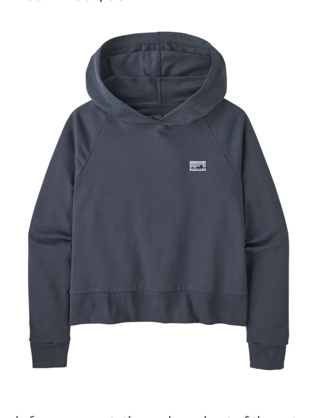 Patagonia Women's Regenerative Organic Cotton Hoodie Size Large New with Tags